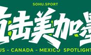开云直营平台 -HWG！莱万多夫斯基自由身加盟美职联 投身芝加哥火焰